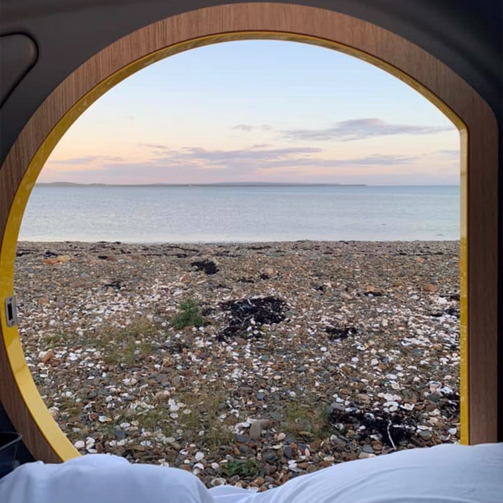 Mink coastal view uk